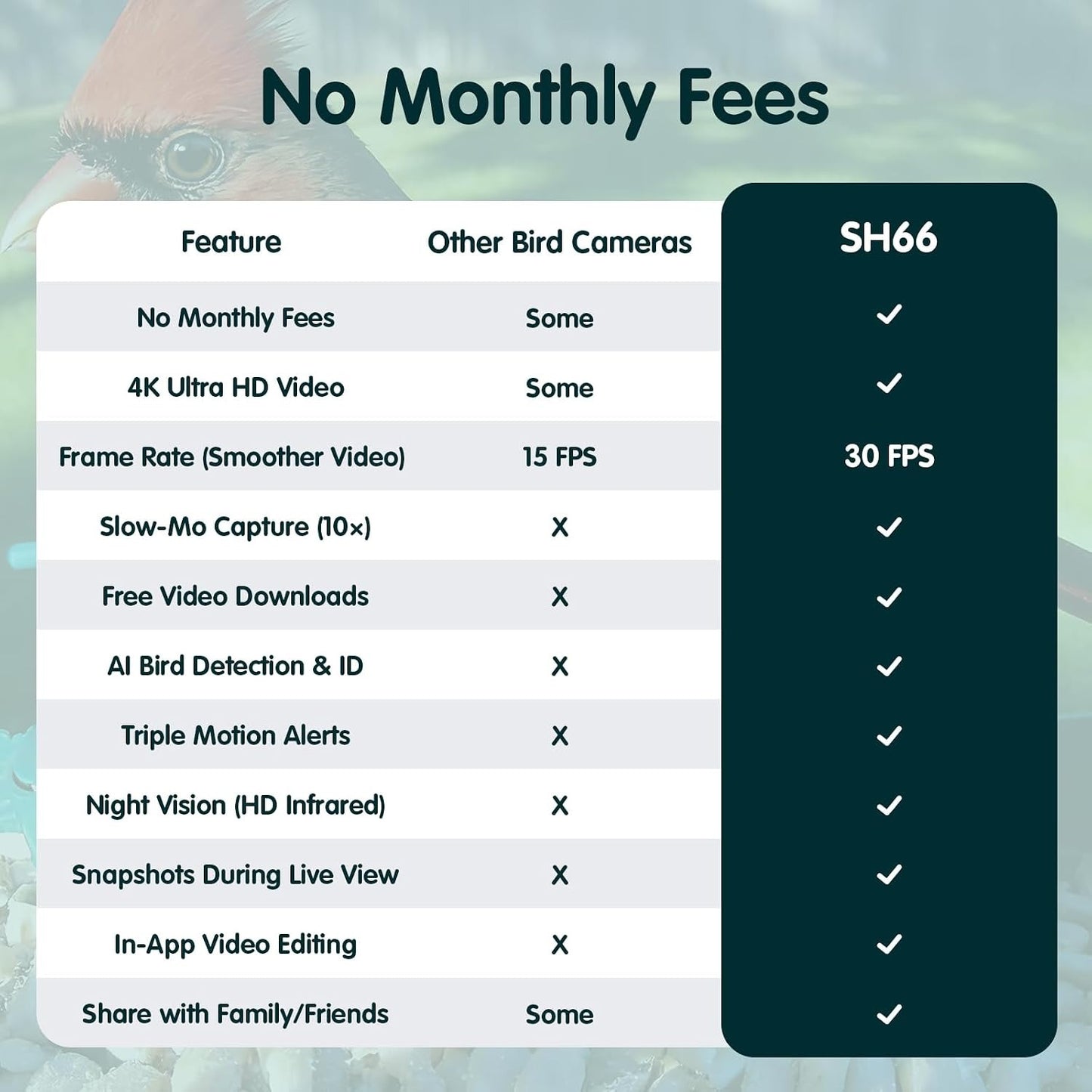 SH66 Bird Feeder with Camera