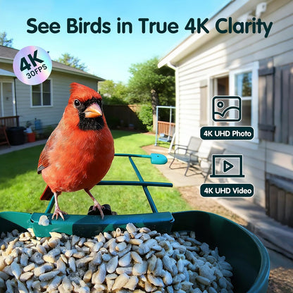 SH66 Bird Feeder with Camera