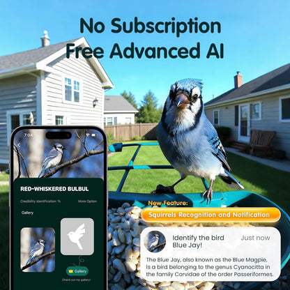 SH66 Bird Feeder with Camera