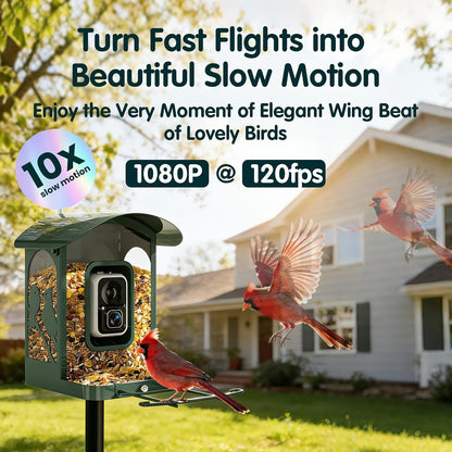SH66 Bird Feeder with Camera